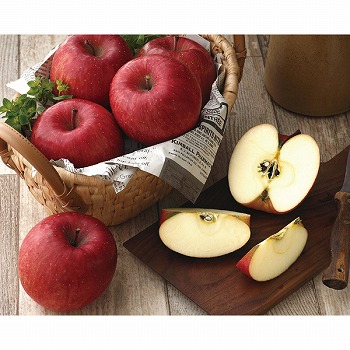 qrkMZ Tӂ (DSF-100W)y͂ԁF11{`z